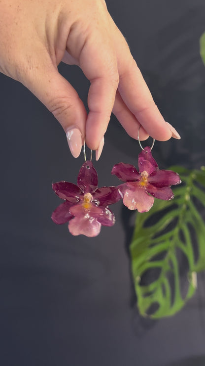 Blush Red Exotic Orchid