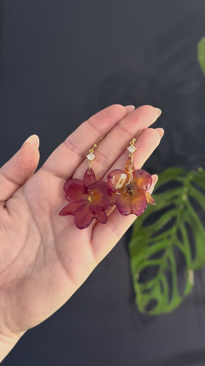 Sunset Orchid
