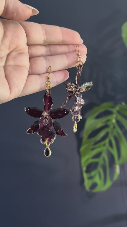 Dark Red Exotic Orchid