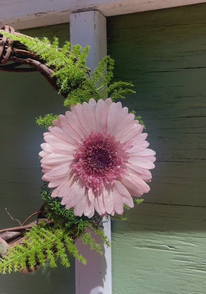 Pink Gerber Daisy Wreath 8"