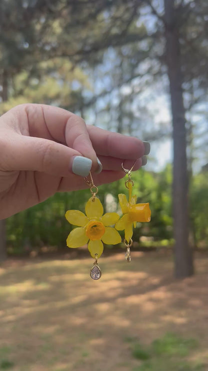 Mini Daffodil, Clear Charm