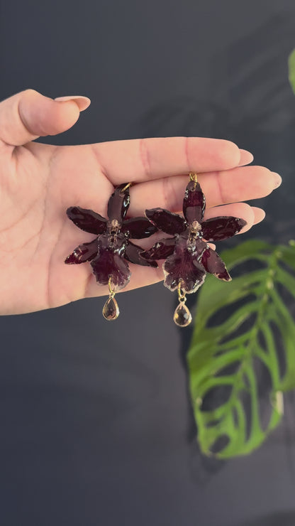Dark Red Exotic Orchid, French